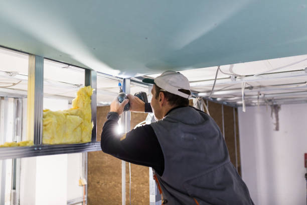 Best Insulation for Specific Applications in Buellton, CA